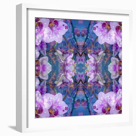 Symmetric Ornament from Flowers and Water Reflections-Alaya Gadeh-Framed Photographic Print