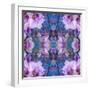 Symmetric Ornament from Flowers and Water Reflections-Alaya Gadeh-Framed Photographic Print