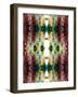 Symmetric Ornament from Flowers and Water-Alaya Gadeh-Framed Photographic Print