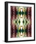 Symmetric Ornament from Flowers and Water-Alaya Gadeh-Framed Photographic Print