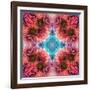 Symmetric Ornament from Flowers, Conceptual Photographic Layer Work-Alaya Gadeh-Framed Photographic Print
