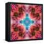 Symmetric Ornament from Flowers, Conceptual Photographic Layer Work-Alaya Gadeh-Framed Stretched Canvas