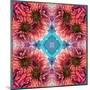 Symmetric Ornament from Flowers, Conceptual Photographic Layer Work-Alaya Gadeh-Mounted Photographic Print