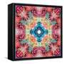 Symmetric Ornament from Flowers, Conceptual Photographic Layer Work-Alaya Gadeh-Framed Stretched Canvas