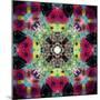 Symmetric Ornament from Flowers, Conceptual Photographic Layer Work-Alaya Gadeh-Mounted Photographic Print