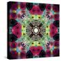 Symmetric Ornament from Flowers, Conceptual Photographic Layer Work-Alaya Gadeh-Stretched Canvas