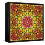 Symmetric Ornament from Flowers, Photographic Layer Work-Alaya Gadeh-Framed Stretched Canvas