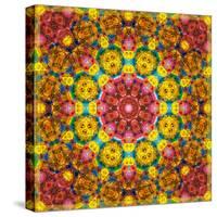 Symmetric Ornament from Flowers, Photographic Layer Work-Alaya Gadeh-Stretched Canvas