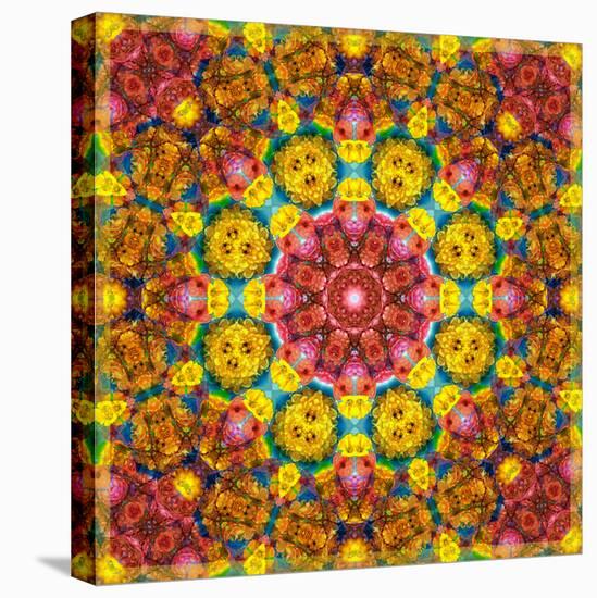 Symmetric Ornament from Flowers, Photographic Layer Work-Alaya Gadeh-Stretched Canvas