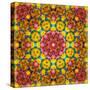 Symmetric Ornament from Flowers, Photographic Layer Work-Alaya Gadeh-Stretched Canvas