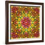 Symmetric Ornament from Flowers, Photographic Layer Work-Alaya Gadeh-Framed Photographic Print