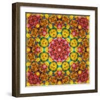 Symmetric Ornament from Flowers, Photographic Layer Work-Alaya Gadeh-Framed Photographic Print