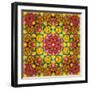 Symmetric Ornament from Flowers, Photographic Layer Work-Alaya Gadeh-Framed Photographic Print