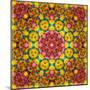 Symmetric Ornament from Flowers, Photographic Layer Work-Alaya Gadeh-Mounted Photographic Print