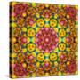 Symmetric Ornament from Flowers, Photographic Layer Work-Alaya Gadeh-Stretched Canvas