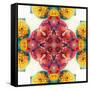 Symmetric Ornament from Flowers, Photographic Layer Work-Alaya Gadeh-Framed Stretched Canvas
