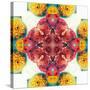 Symmetric Ornament from Flowers, Photographic Layer Work-Alaya Gadeh-Stretched Canvas