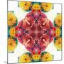 Symmetric Ornament from Flowers, Photographic Layer Work-Alaya Gadeh-Mounted Photographic Print