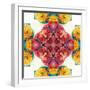 Symmetric Ornament from Flowers, Photographic Layer Work-Alaya Gadeh-Framed Photographic Print