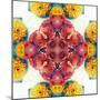 Symmetric Ornament from Flowers, Photographic Layer Work-Alaya Gadeh-Mounted Photographic Print