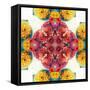 Symmetric Ornament from Flowers, Photographic Layer Work-Alaya Gadeh-Framed Stretched Canvas