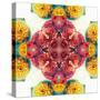 Symmetric Ornament from Flowers, Photographic Layer Work-Alaya Gadeh-Stretched Canvas