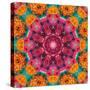 Symmetric Ornament from Flowers, Photographic Layer Work-Alaya Gadeh-Stretched Canvas