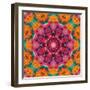 Symmetric Ornament from Flowers, Photographic Layer Work-Alaya Gadeh-Framed Photographic Print