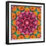 Symmetric Ornament from Flowers, Photographic Layer Work-Alaya Gadeh-Framed Photographic Print