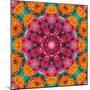 Symmetric Ornament from Flowers, Photographic Layer Work-Alaya Gadeh-Mounted Photographic Print