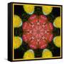 Symmetric Ornament from Flowers, Photographic Layer Work-Alaya Gadeh-Framed Stretched Canvas