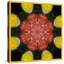 Symmetric Ornament from Flowers, Photographic Layer Work-Alaya Gadeh-Stretched Canvas