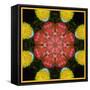 Symmetric Ornament from Flowers, Photographic Layer Work-Alaya Gadeh-Framed Stretched Canvas