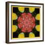 Symmetric Ornament from Flowers, Photographic Layer Work-Alaya Gadeh-Framed Photographic Print