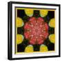 Symmetric Ornament from Flowers, Photographic Layer Work-Alaya Gadeh-Framed Photographic Print