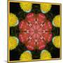 Symmetric Ornament from Flowers, Photographic Layer Work-Alaya Gadeh-Mounted Photographic Print