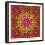 Symmetric Ornament from Flowers, Photographic Layer Work-Alaya Gadeh-Framed Photographic Print