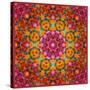 Symmetric Ornament from Flowers, Photographic Layer Work-Alaya Gadeh-Stretched Canvas