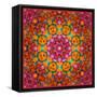 Symmetric Ornament from Flowers, Photographic Layer Work-Alaya Gadeh-Framed Stretched Canvas