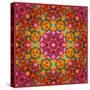 Symmetric Ornament from Flowers, Photographic Layer Work-Alaya Gadeh-Stretched Canvas