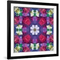 Symmetric Ornament from Multicolor Blossoms-Alaya Gadeh-Framed Photographic Print