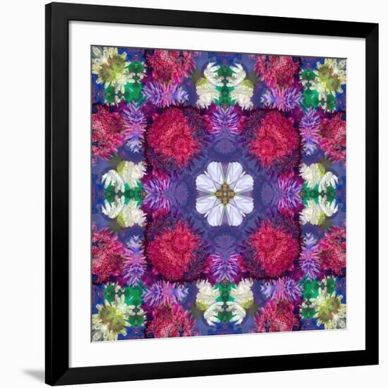 Symmetric Ornament from Multicolor Blossoms-Alaya Gadeh-Framed Photographic Print