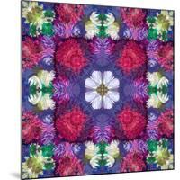 Symmetric Ornament from Multicolor Blossoms-Alaya Gadeh-Mounted Photographic Print