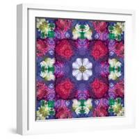 Symmetric Ornament from Multicolor Blossoms-Alaya Gadeh-Framed Photographic Print