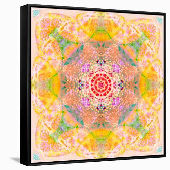 Symmetric Photographic Layer Work of Blossoms-Alaya Gadeh-Framed Stretched Canvas