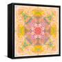 Symmetric Photographic Layer Work of Blossoms-Alaya Gadeh-Framed Stretched Canvas