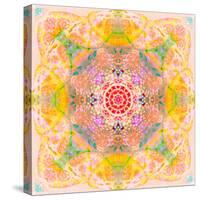 Symmetric Photographic Layer Work of Blossoms-Alaya Gadeh-Stretched Canvas