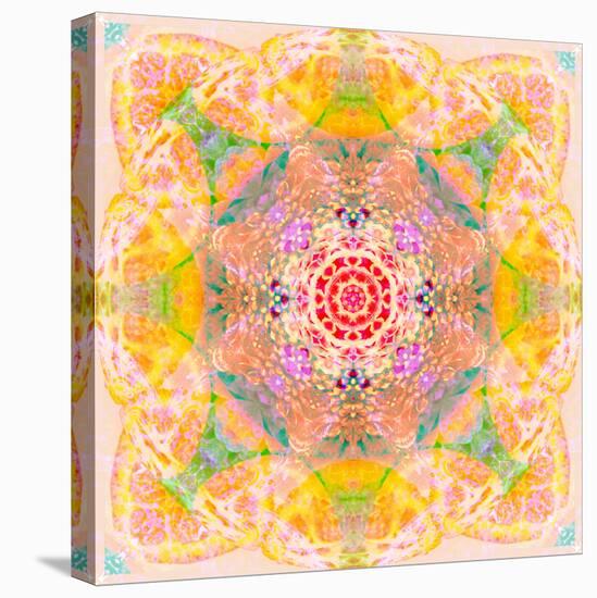 Symmetric Photographic Layer Work of Blossoms-Alaya Gadeh-Stretched Canvas