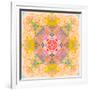 Symmetric Photographic Layer Work of Blossoms-Alaya Gadeh-Framed Photographic Print