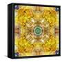 Symmetrical Arrangement of Mussels and Flowers in Yellow Tones-Alaya Gadeh-Framed Stretched Canvas